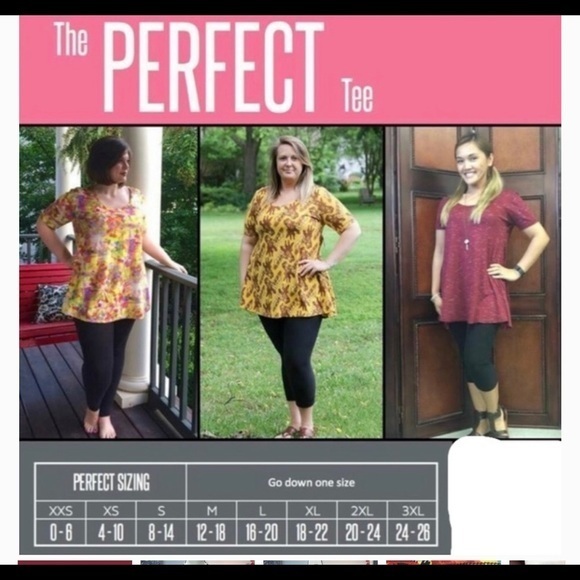 Lularoe Perfect T‎ Bundle - Picture 11 of 11
